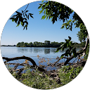 Dawn Ciszar profile picture